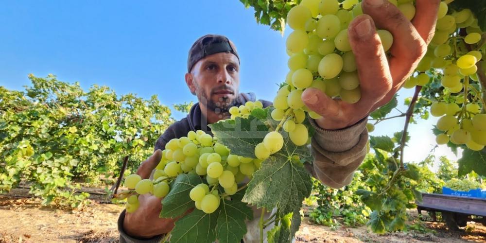 WhatsApp Image 2023-07-11 at 9.31.46 AM (2)