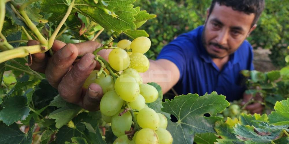 WhatsApp Image 2023-07-11 at 9.31.47 AM (2)