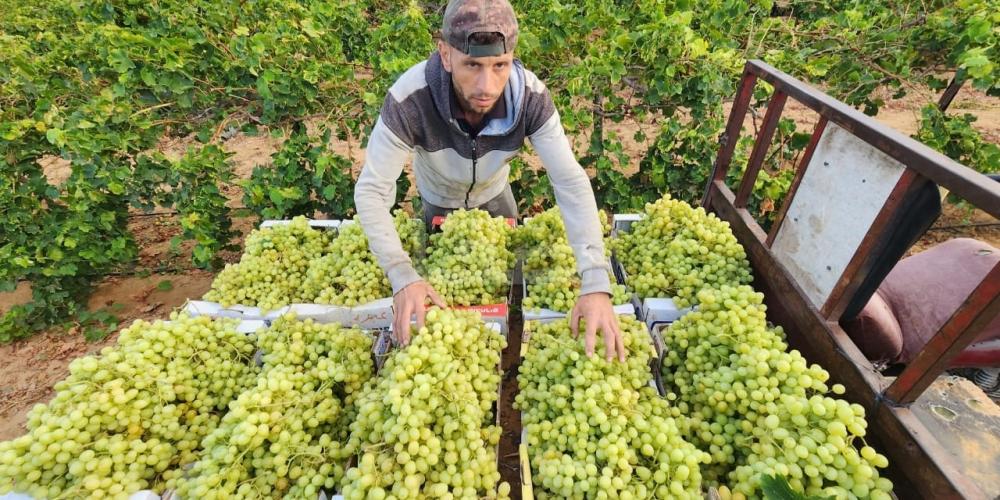 WhatsApp Image 2023-07-11 at 9.31.49 AM (1)