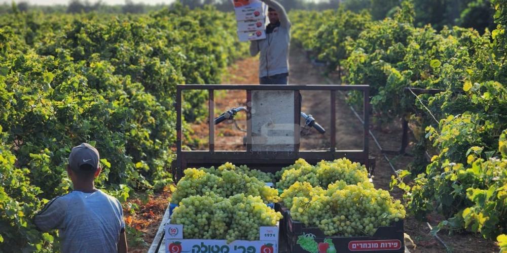 3a7eaebf-c2e2-4bad-9755-20c62fc7b7f3