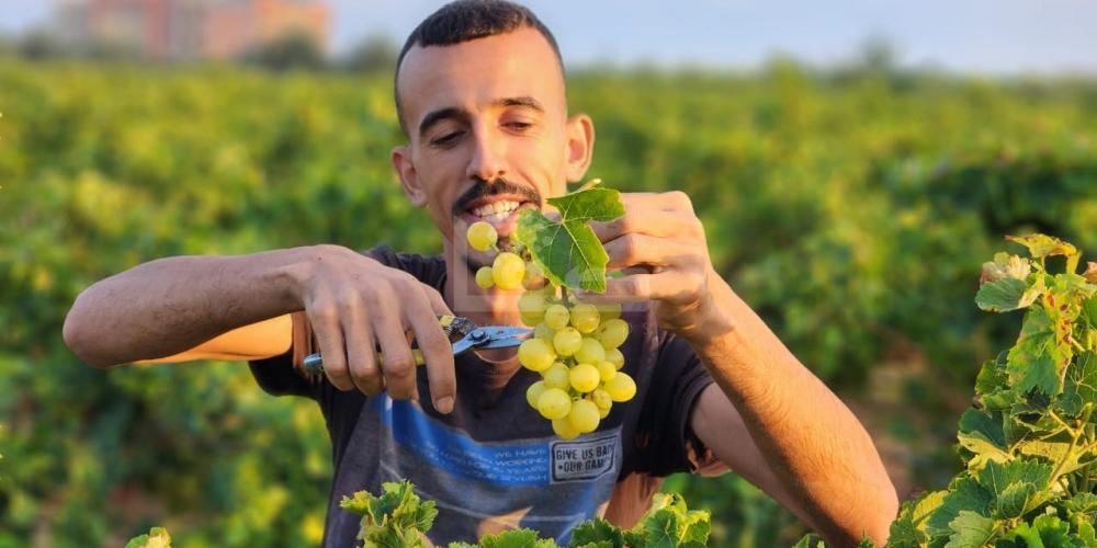 WhatsApp Image 2023-07-11 at 9.31.49 AM (3)