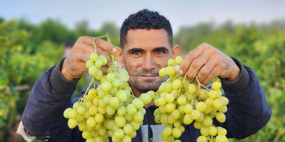 WhatsApp Image 2023-07-11 at 9.31.48 AM