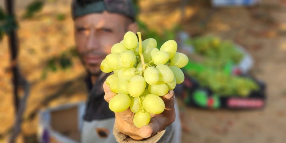 WhatsApp Image 2023-07-11 at 9.31.47 AM (1)