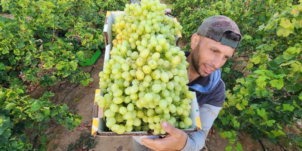 WhatsApp Image 2023-07-11 at 9.31.47 AM (3)