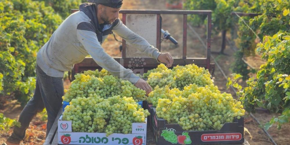 WhatsApp Image 2023-07-11 at 9.30.45 AM