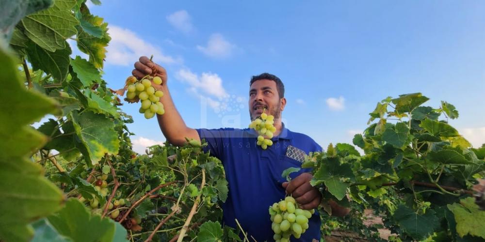 64fcabe3-0a1b-4290-85ca-2a35d71e7638