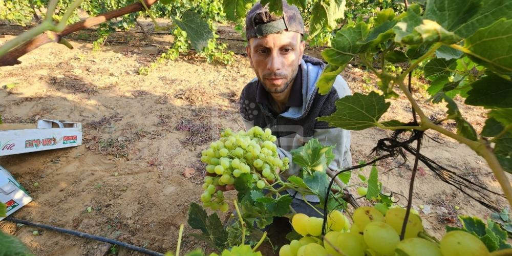 WhatsApp Image 2023-07-11 at 9.31.46 AM