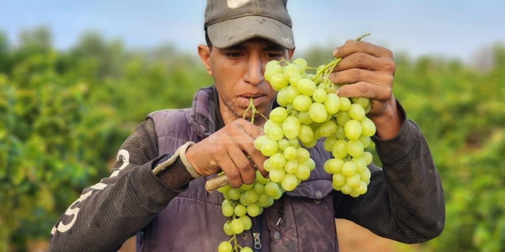 WhatsApp Image 2023-07-11 at 9.31.48 AM (2)