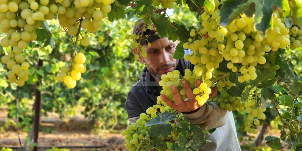 WhatsApp Image 2023-07-11 at 9.31.46 AM (1)