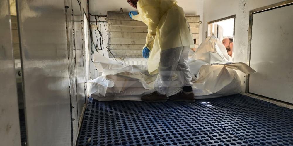 WhatsApp Image 2025-11-05 at 12.02.09 PM (1)