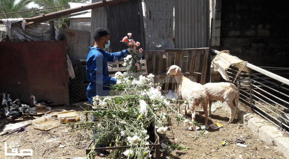 WhatsApp Image 2020-04-16 at 4.17.44 PM (1)