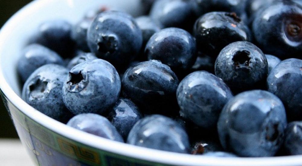 54ff0e7e611e9b18648b460a