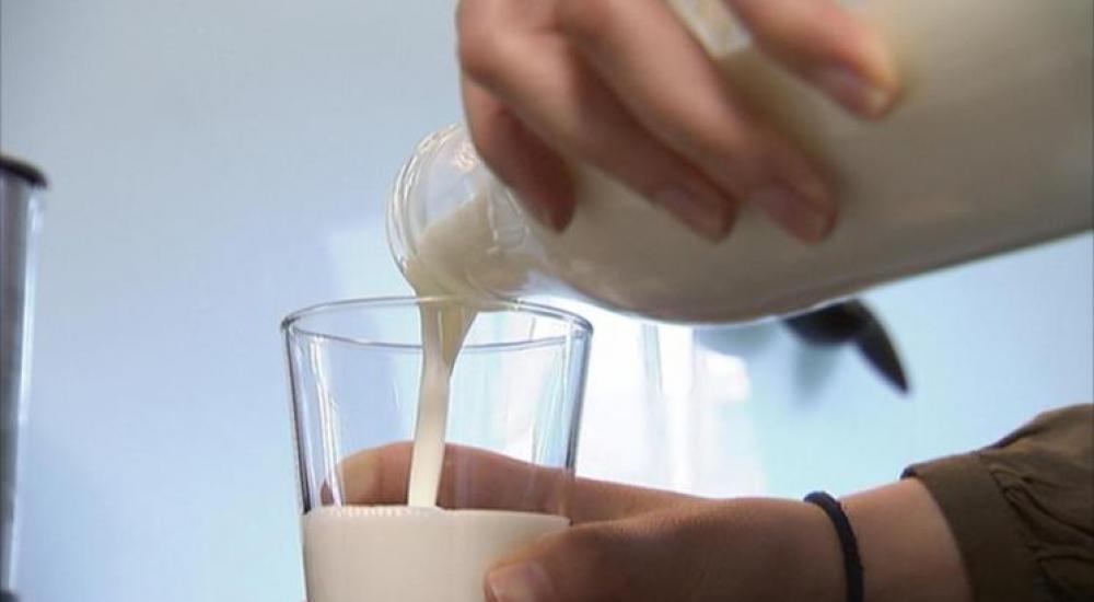 منتجات الألبان كاملة الدسم أصح من قليلة الدسم