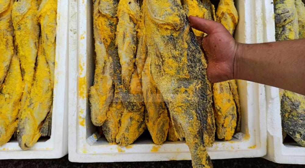 WhatsApp Image 2020-05-13 at 4.29.14 PM