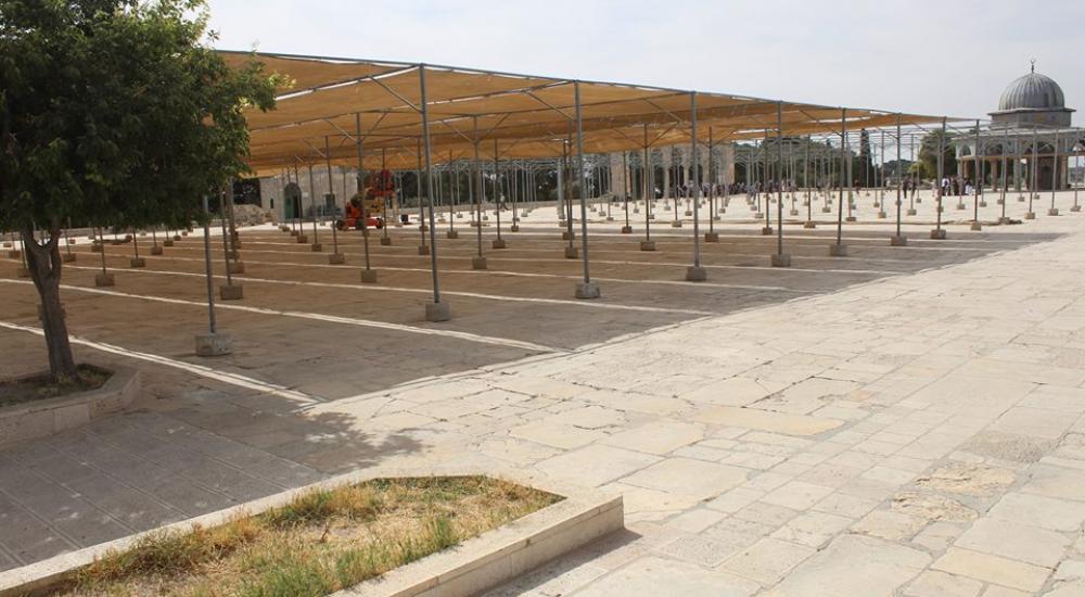 13226891_972582419522523_5494219762362973574_n