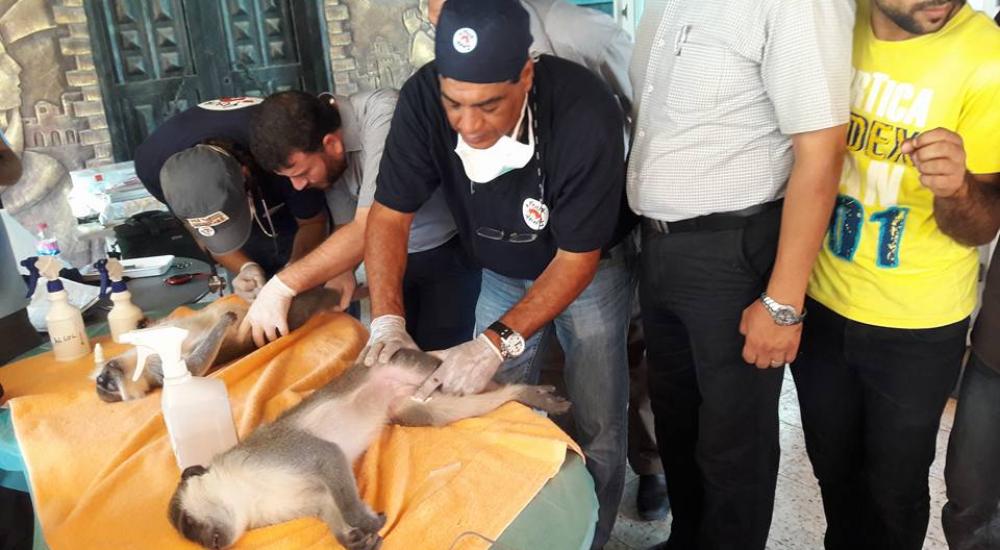 14063937_1154685564590474_2978418998963972308_n