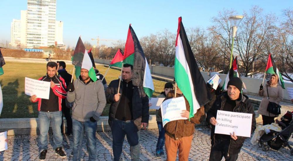 12507695_205969863083143_5475409055685444503_n