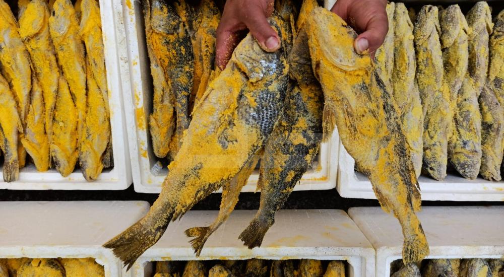 WhatsApp Image 2020-05-13 at 4.29.13 PM (1)