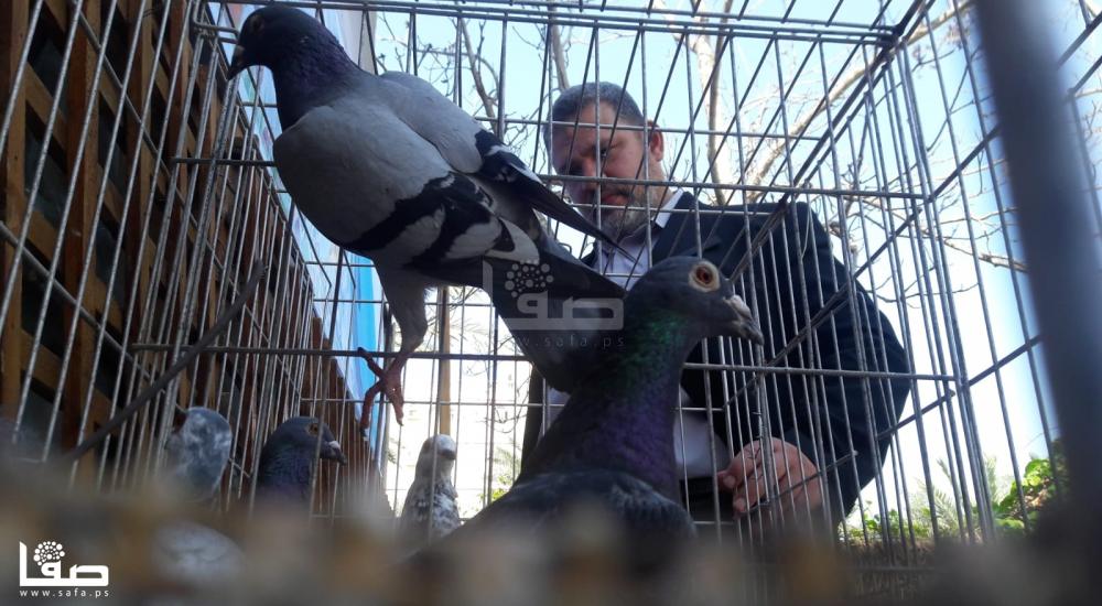 980e8355-1675-46fe-a9da-7d1df4df0369