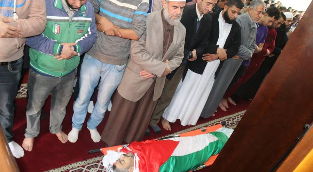 48388098_2243349905695251_7326190875183153152_n