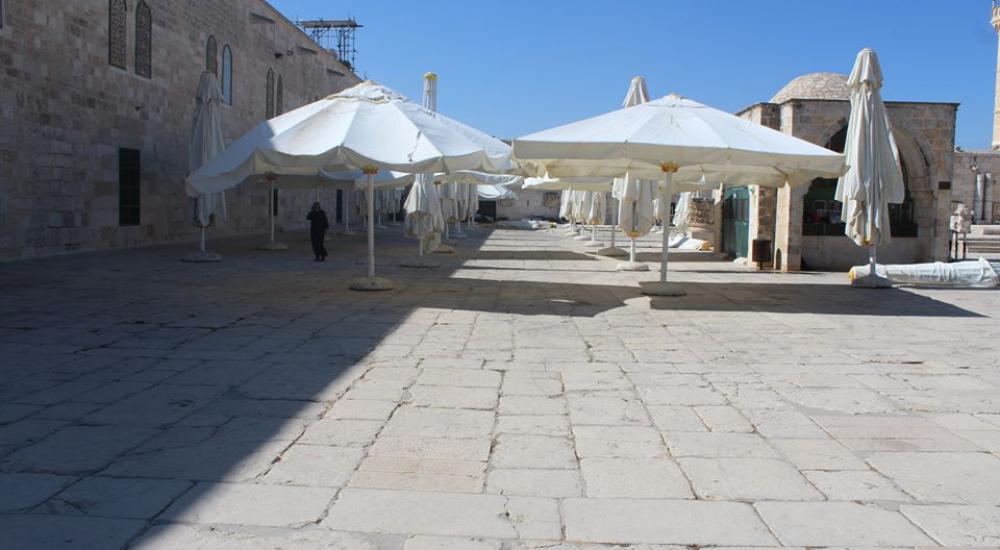 11427888_10155686100915416_913295530_n