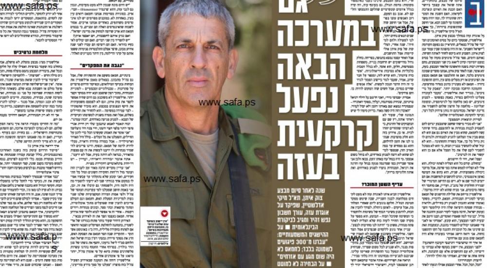 ميكي ادلشتاين