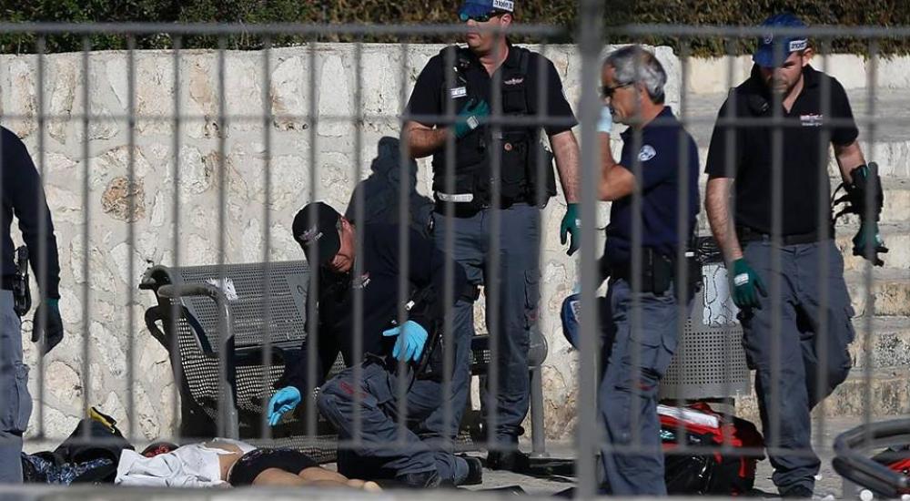 12592178_955606174475458_634928996387811839_n