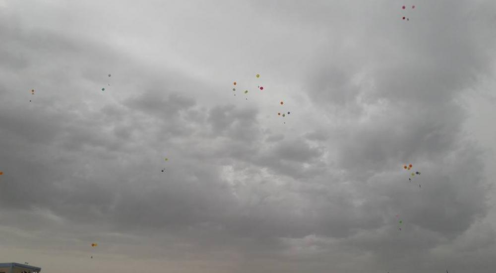 12832479_1042762932449405_3552034335664157084_n