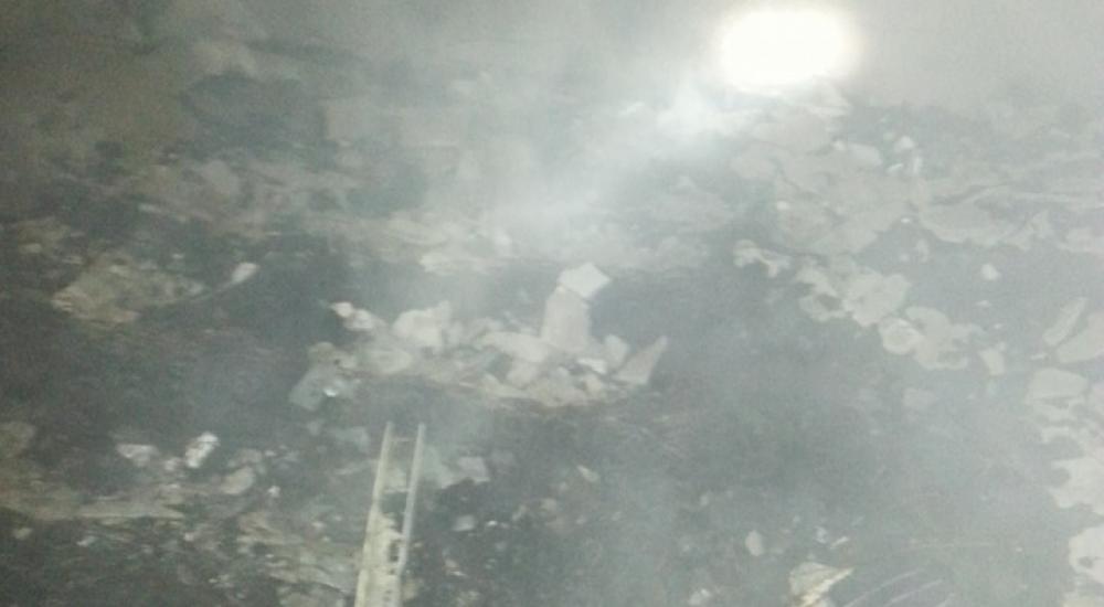 13716017_919232878206334_2294106067550201872_n