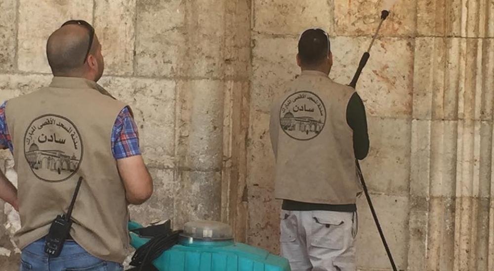 13260049_977131112400987_2058211064526235933_n