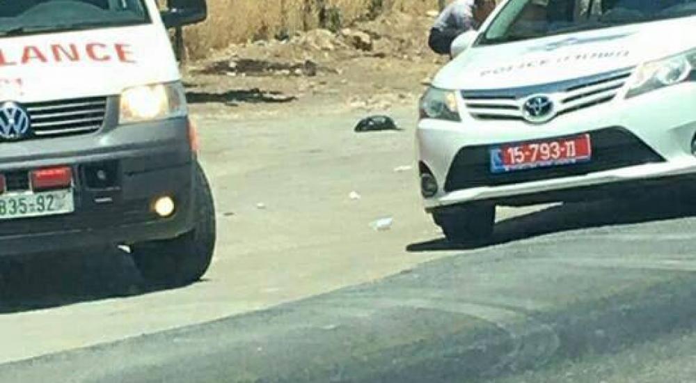 13689558_1562398157402176_24569902_n