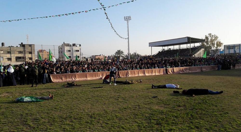 12745806_1033528813372817_4372449856333356667_n