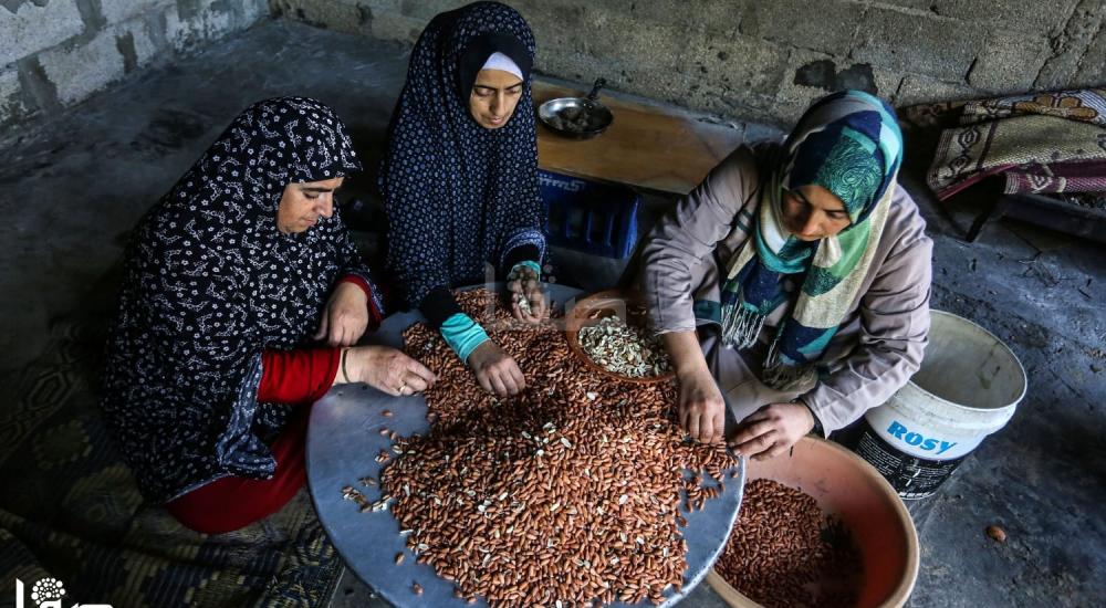 db96ee49-0c1d-4b2e-b693-a7d60a93b325