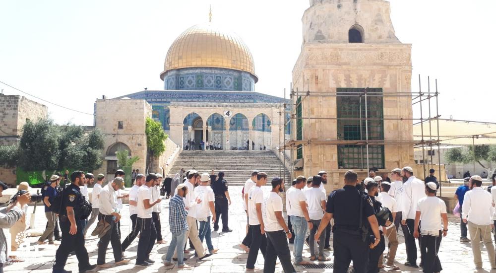 8dfee299-bc63-4d25-a5e5-2e14df6be97e