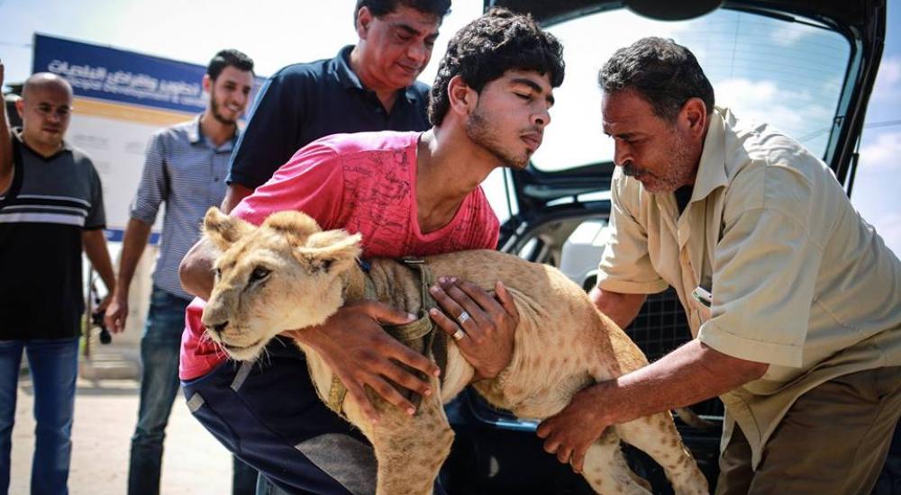 10358129_10153033175007984_4344060774087994696_n