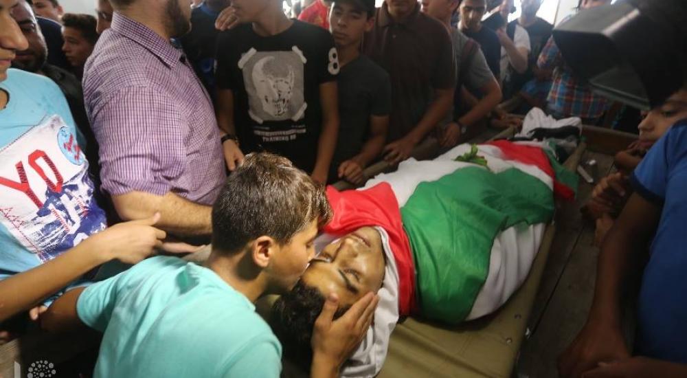 42280356_273972373446956_3043000542717542400_n