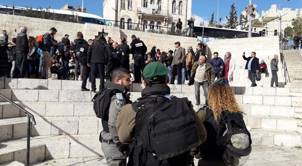 WhatsApp Image 2017-12-07 at 12.44.51 PM