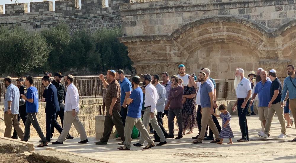 14e4f887-1367-4959-ac75-56d7dac9c1a3