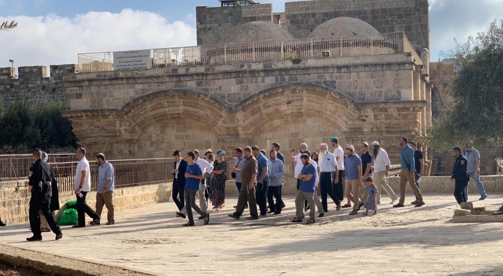 3837124d-4372-4b65-946e-f367cfceccf5