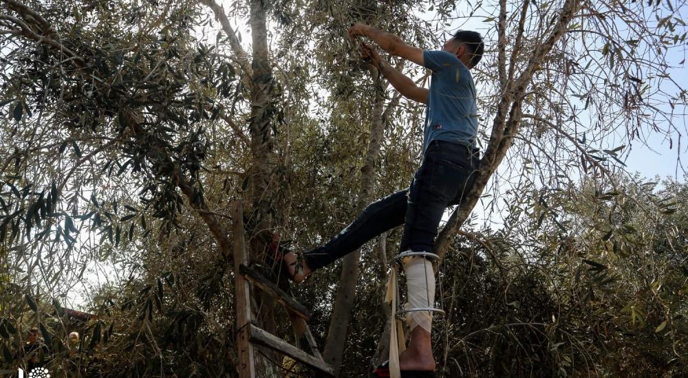 WhatsApp Image 2019-10-22 at 3.45.10 PM