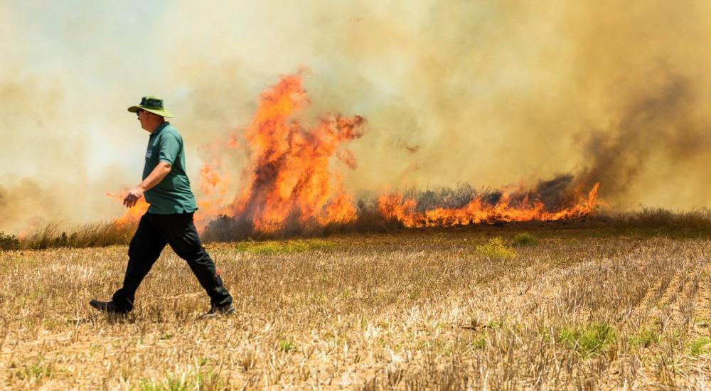 WhatsApp Image 2018-06-21 at 4.02.38 PM