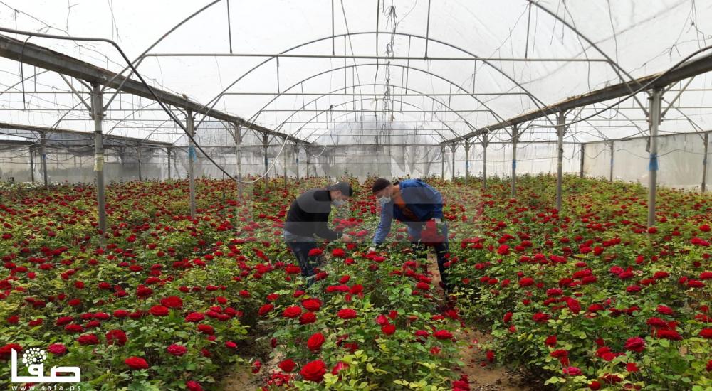 WhatsApp Image 2020-04-16 at 4.17.48 PM