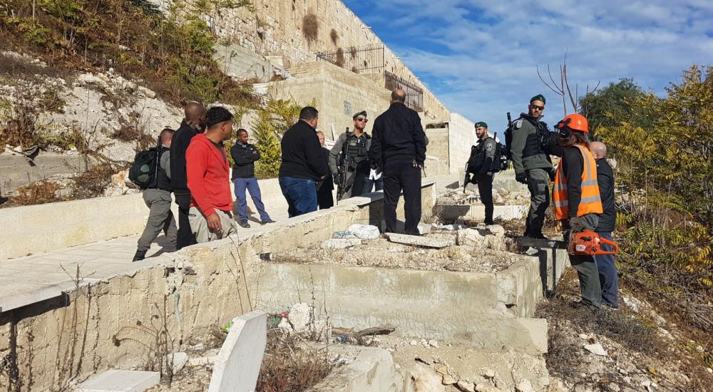 d56314ee-7a05-40b1-8613-8913c0415a5d