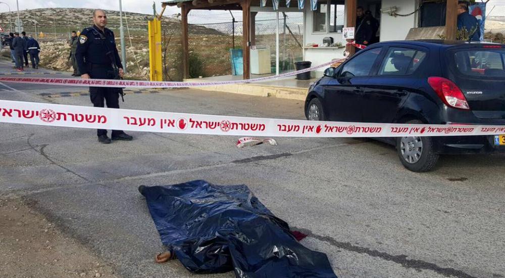 384247_807503772692223_8760921702763781016_n