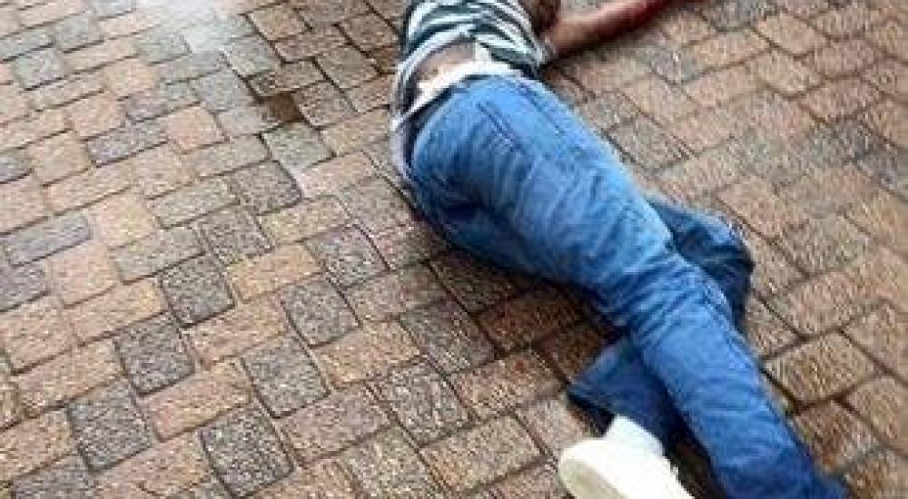 12660416_1508110916164234_843018752_n