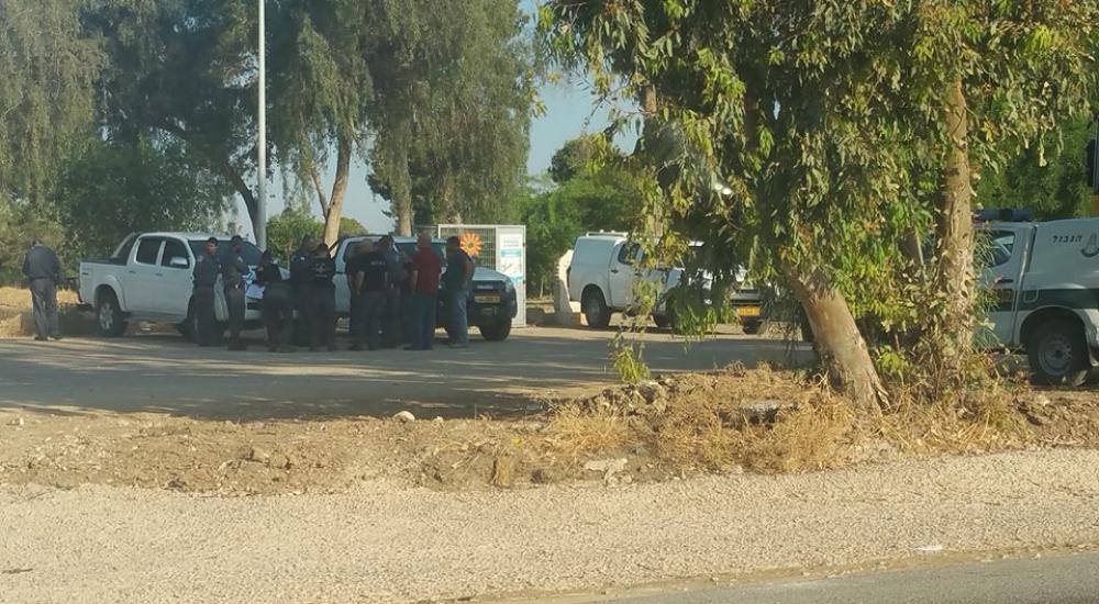 18582231_10209123043498230_821878382690142180_n