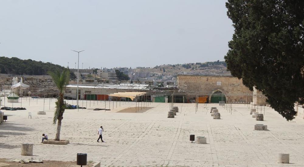 13221722_972582979522467_5556998448931373406_n