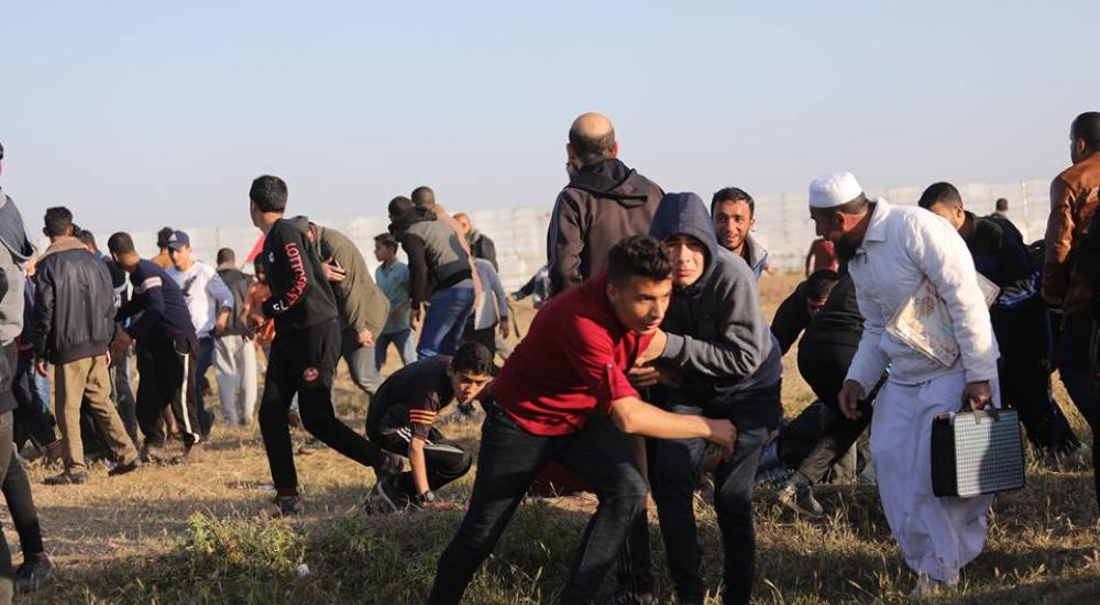 56883641_1147954572053730_300639417138151424_n