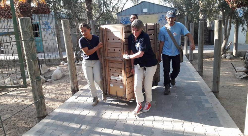 14088668_1154261541299543_8929949216848472001_n