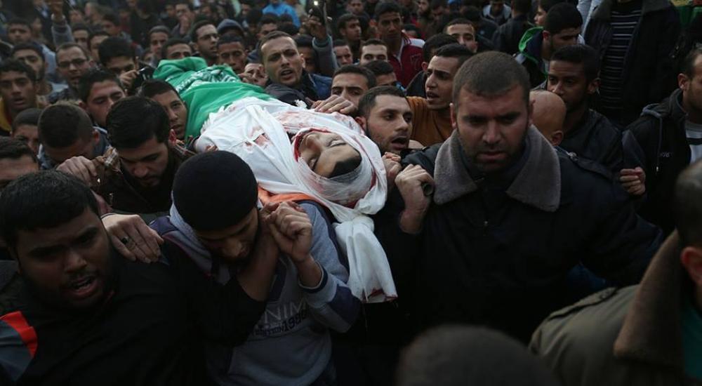 12439085_1284781661564251_1623002112749290471_n